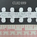 CLH2489