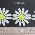 CLH2575