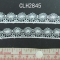 CLH2845