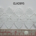 CLH2895