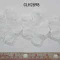 CLH2898