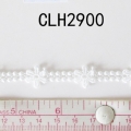 CLH2900