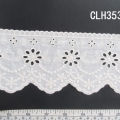 CLH3534
