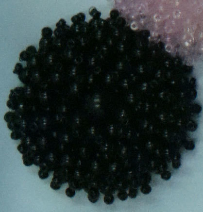 CHT0604