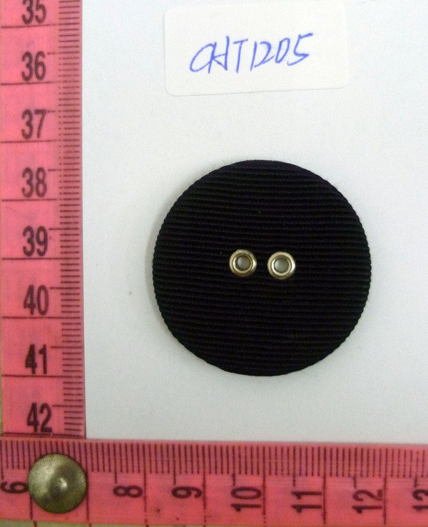 CHT1205