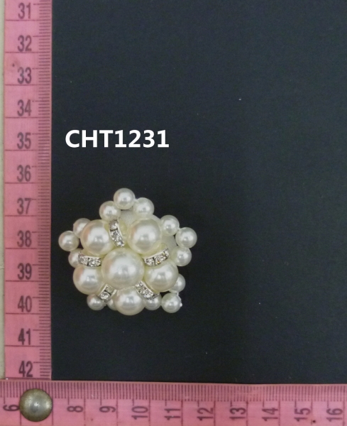 CHT1231