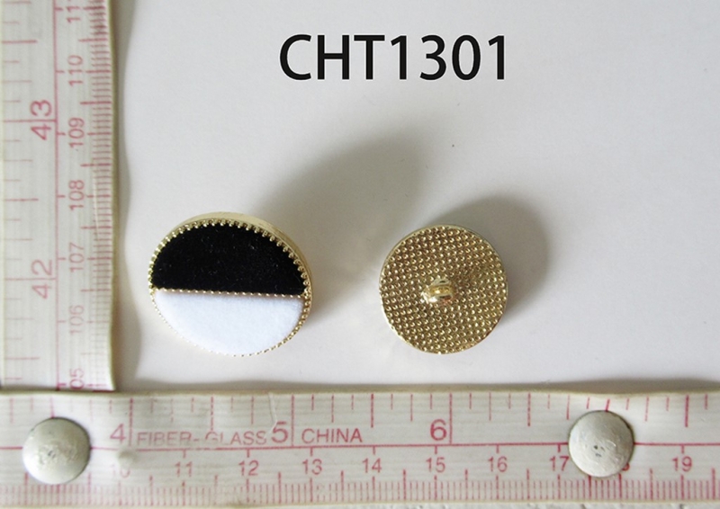 CHT1301