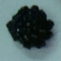 CHT0600