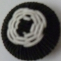 CHT0998