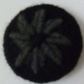 CHT1006