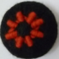 CHT1007