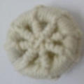 CHT1012