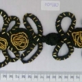 CHT1020