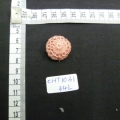 CHT1031