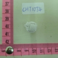 CHT1074