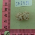 CHT1135