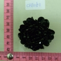 CHT1161