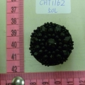 CHT1162