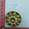 CHT1189