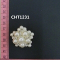 CHT1231