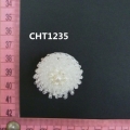 CHT1235