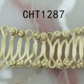 CHT1287