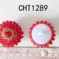 CHT1289
