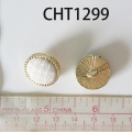 CHT1299