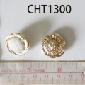 CHT1300