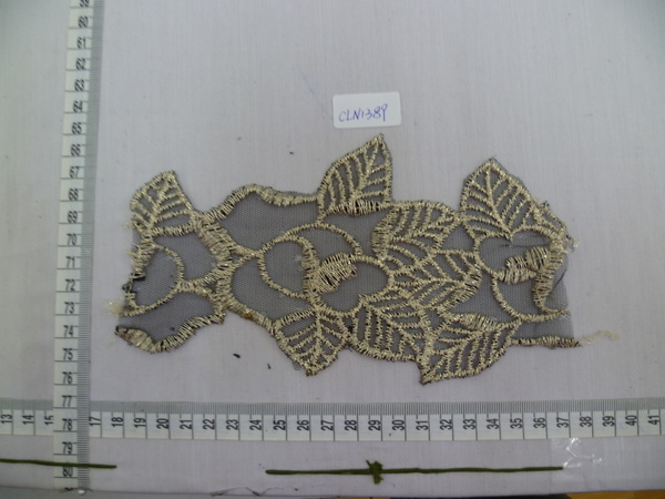 CLN1389