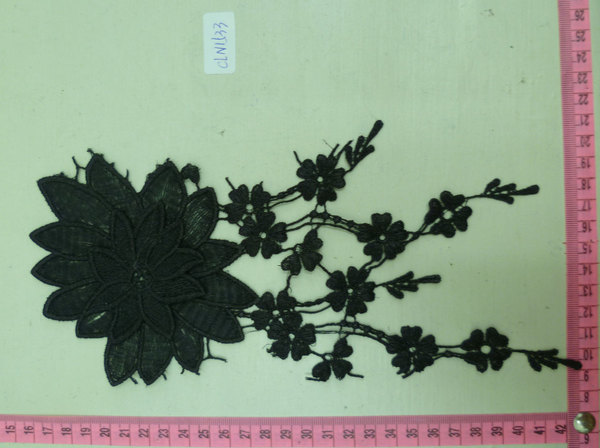 CLN1533