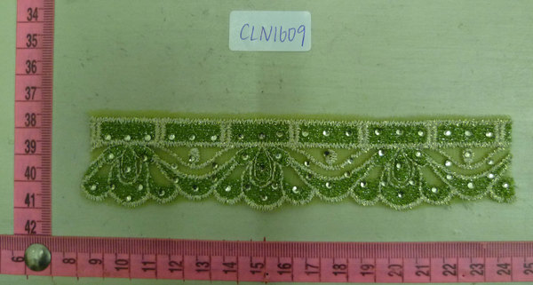 CLN1609