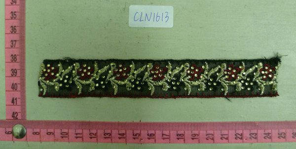 CLN1613