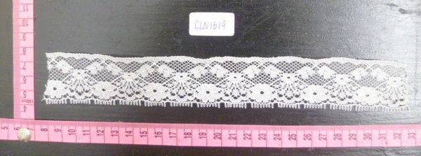 CLN1619