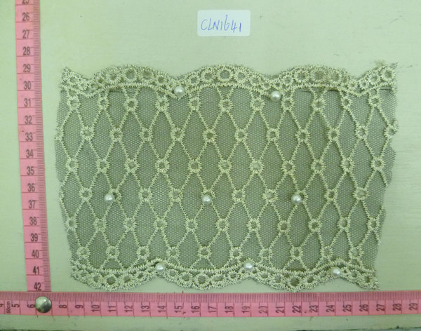 CLN1641