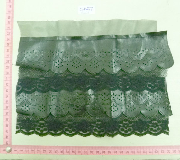 CLN1679