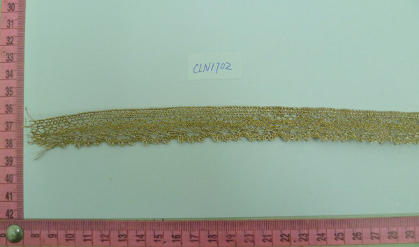 CLN1702