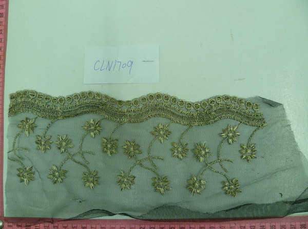 CLN1709