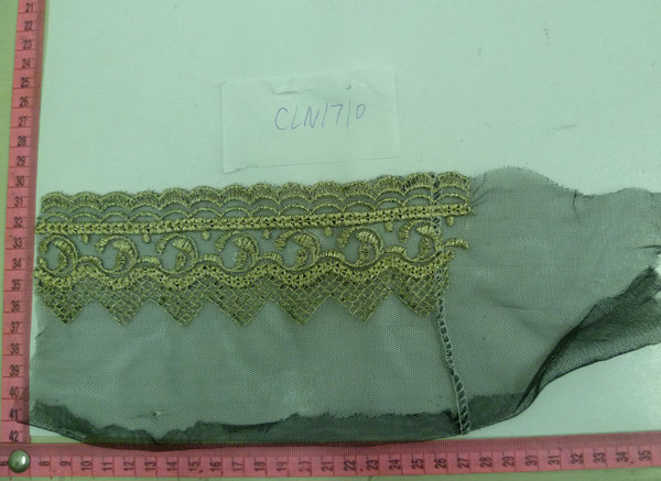 CLN1710