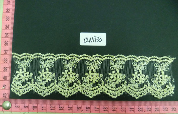 CLN1733