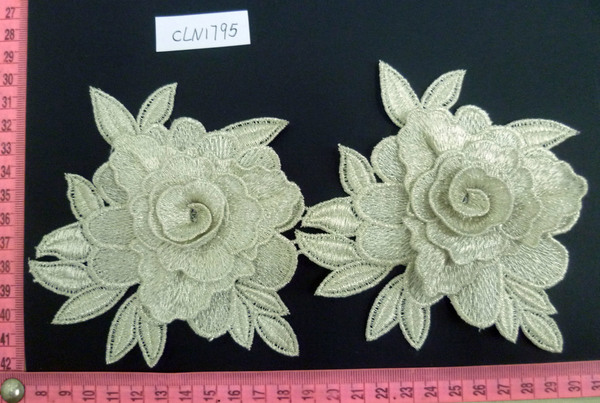 CLN1795