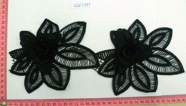 CLN1797
