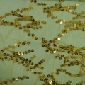 CLN0529