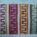 CLN0560-COL.5