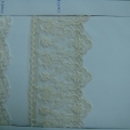 CLN0577-0578