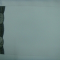 CLN0647