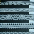 CLN0660-0665