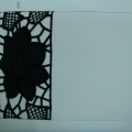CLN0730
