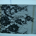 CLN0774