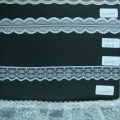 CLN0860-0864